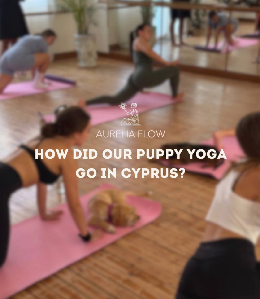 Puppy Yoga x Aurelia Flow